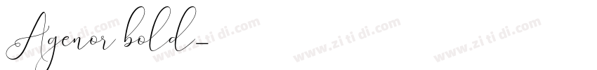 Agenor bold字体转换